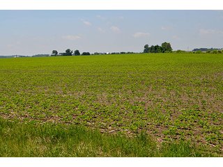 Property photo 52 - LAND AUCTION - 700+/- ACRES OFFERED IN 16 TRACTS IN ALLEN COUNTY, INDIANA